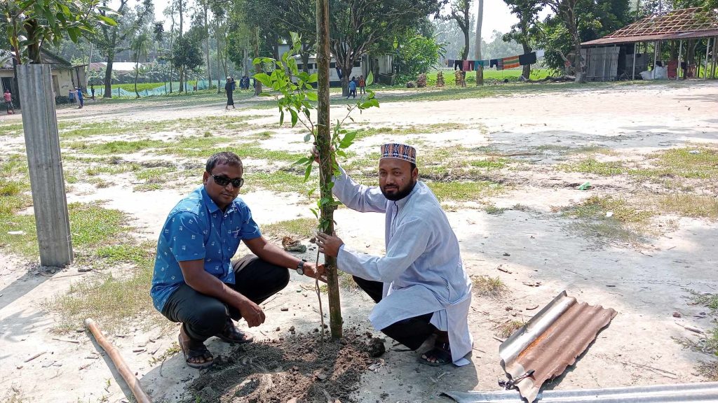Tree Plantation Activity